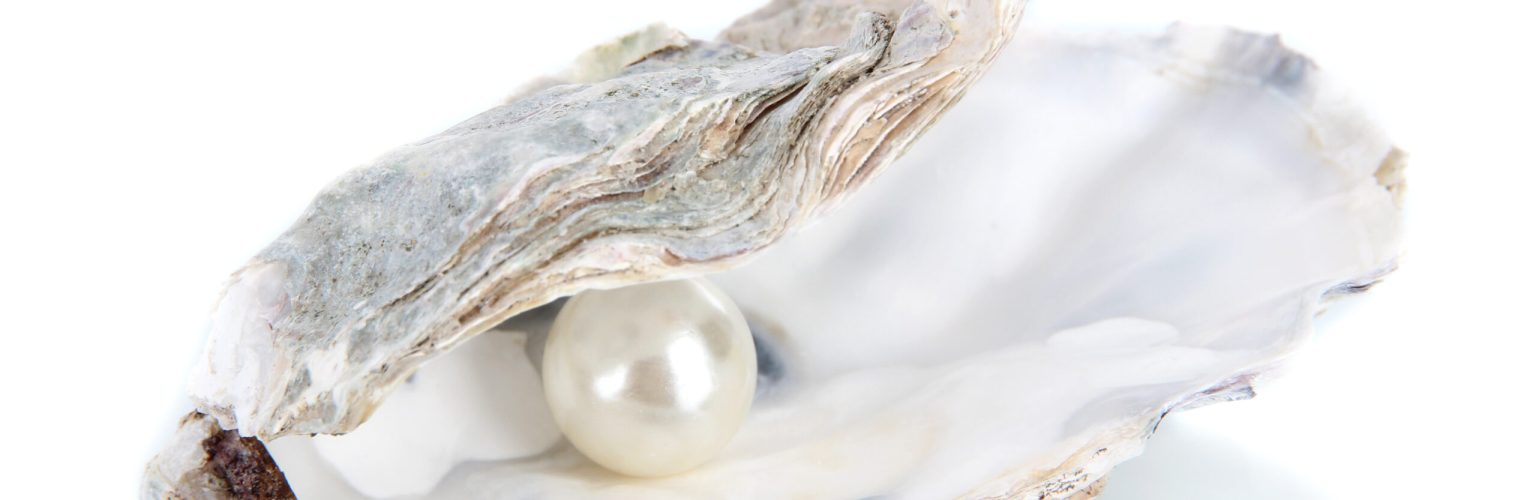 Open oyster with pearl isolated on white